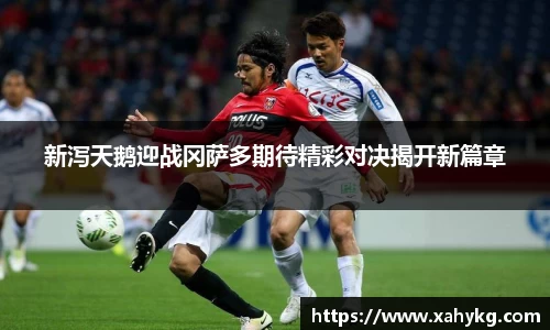 365完美体育官方网站